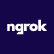 Avatar for Team ngrok